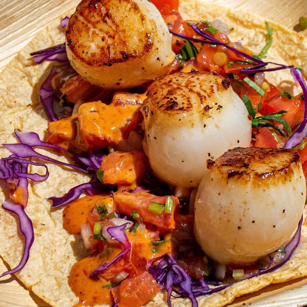 Three seared scallops on a tortilla with red cabbage, salsa, and orange sauce.